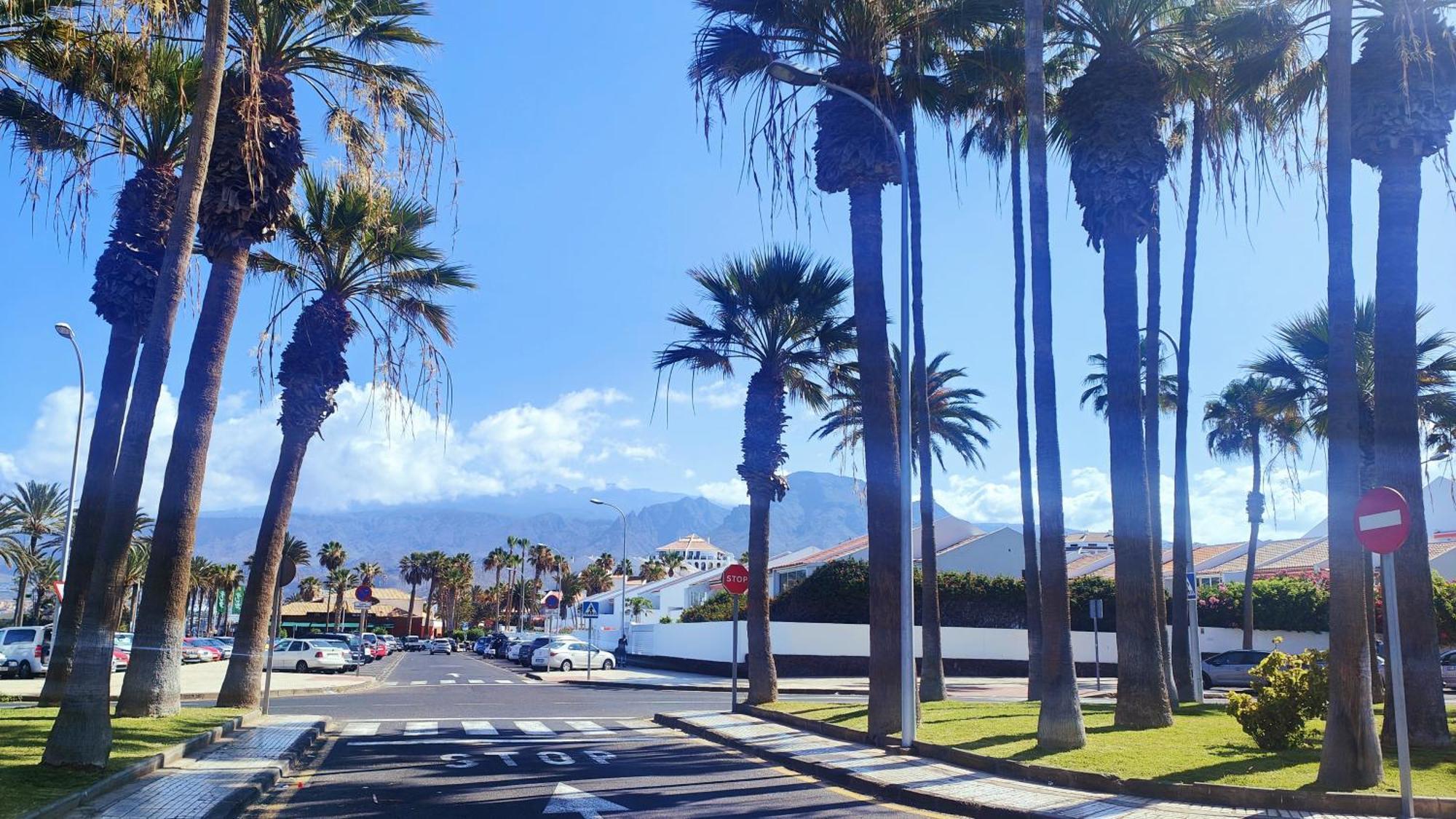 Parque Santiago 2 En Playa De Las Americas Arona  Kültér fotó
