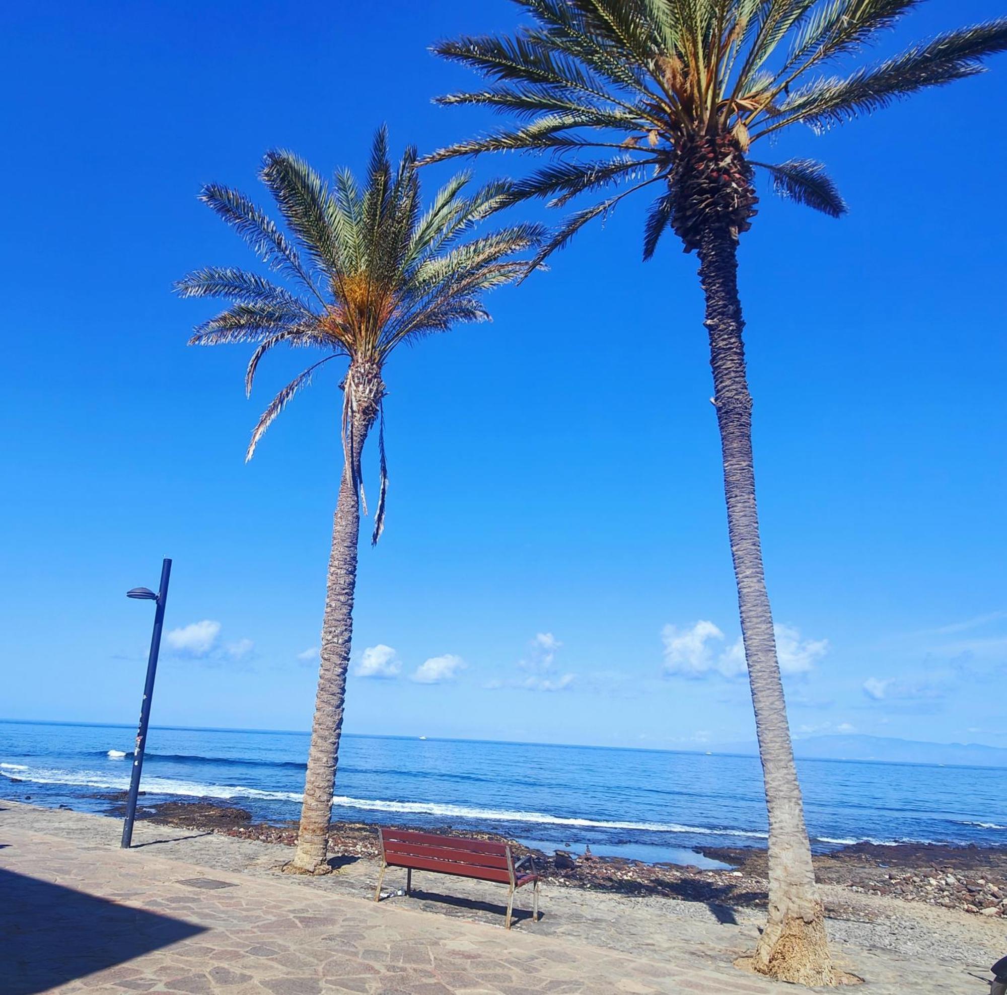 Parque Santiago 2 En Playa De Las Americas Arona  Kültér fotó